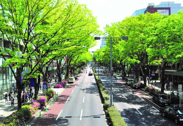 Arborização