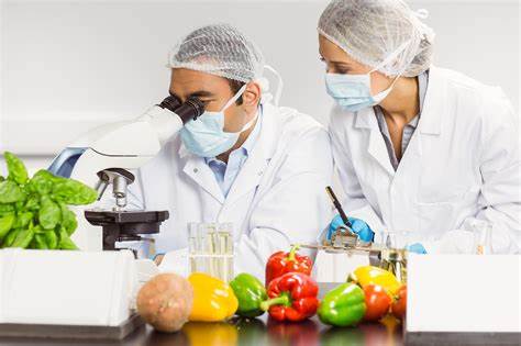 Engenheiro de alimentos