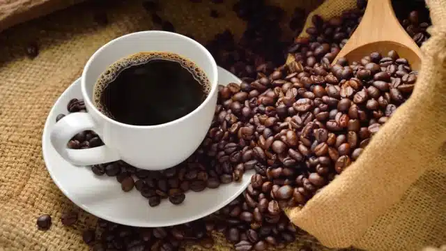 Grãos de Café - Principal